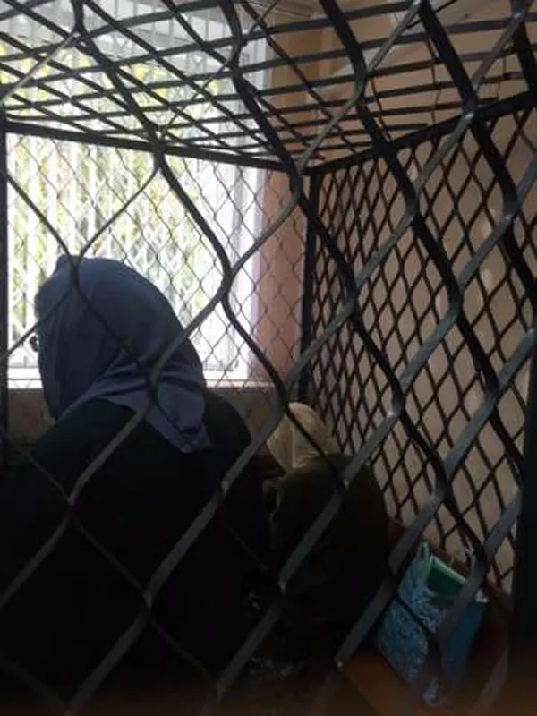 Ярославский областной суд рассматривает апелляцию одной фигуранток по мосейцевскому делу