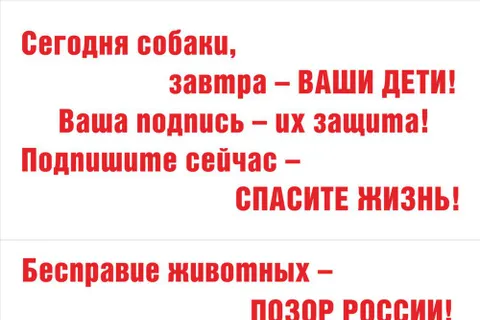 В Ярославле пройдет митинг против хабаровских живодерок