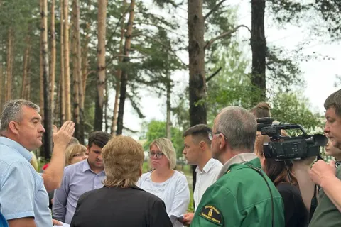 Из-за ремонта ярославской дороги могут вырубить 300 деревьев