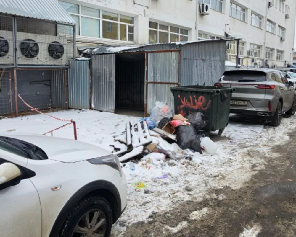 «Крысы кидаются»: ярославцы жалуются на сетевой магазин