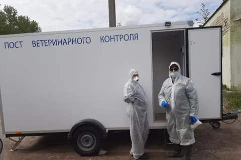 В Ярославской области введен карантин по птичьему гриппу