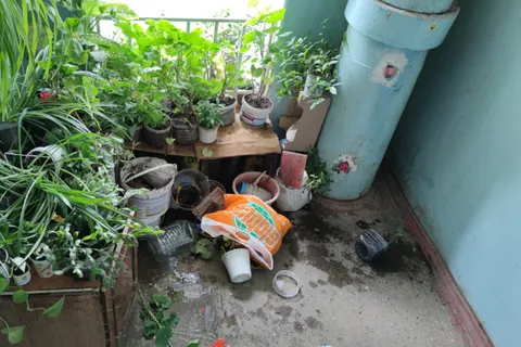 В Ярославле группа подростков с недержанием мочи громит подъезды