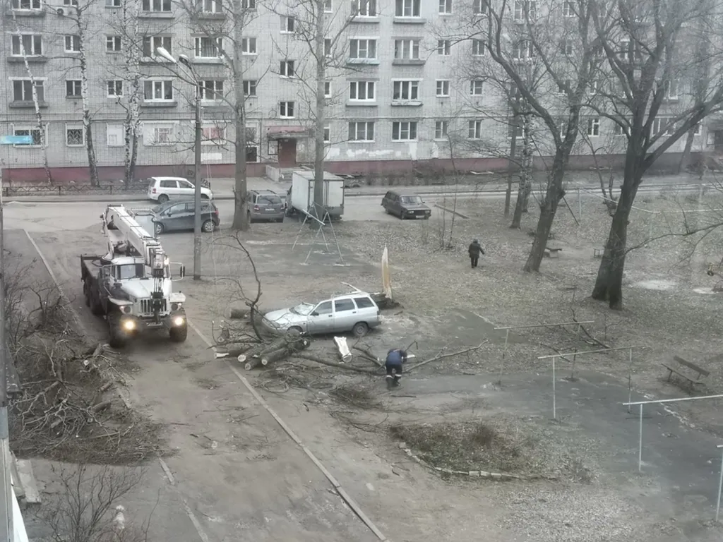 Ночью в Ярославле на машину рухнуло дерево