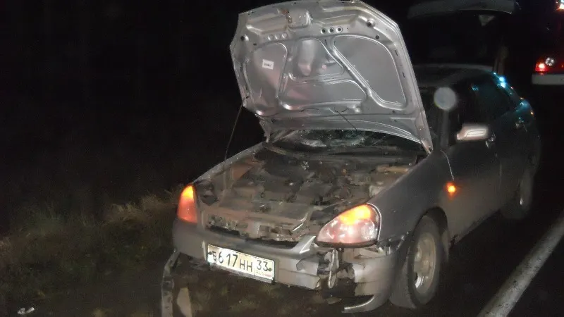В Ярославской области Лада «Приора» сбила лося