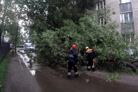 В Ярославле спасатели ликвидируют последствия ураганного ветра