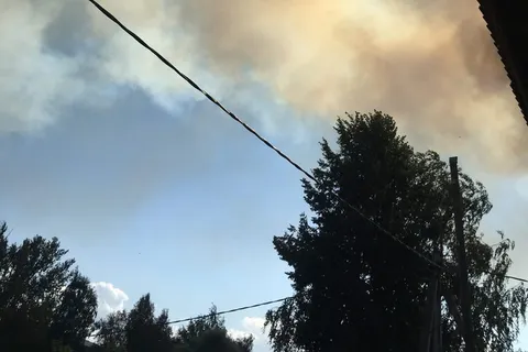 В Ярославской области бушует лесной пожар