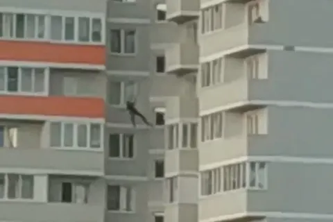 Ярославского «человека-паука» сняли на видео