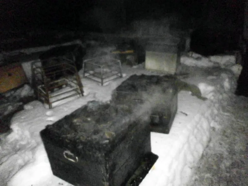 В Рыбинском районе сгорела пасека