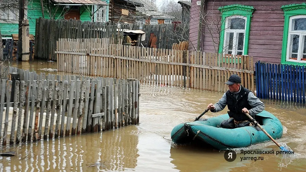 В Борисоглебском Ярославской области из-за резкого подъема воды в реке Устье пришлось эвакуировать более 100 человек