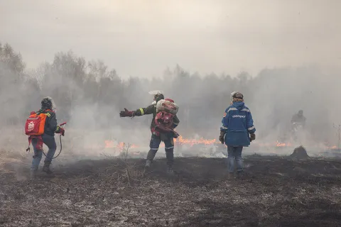 В соцсетях размещены фотографии пожара в Ярославской области от Гринпис