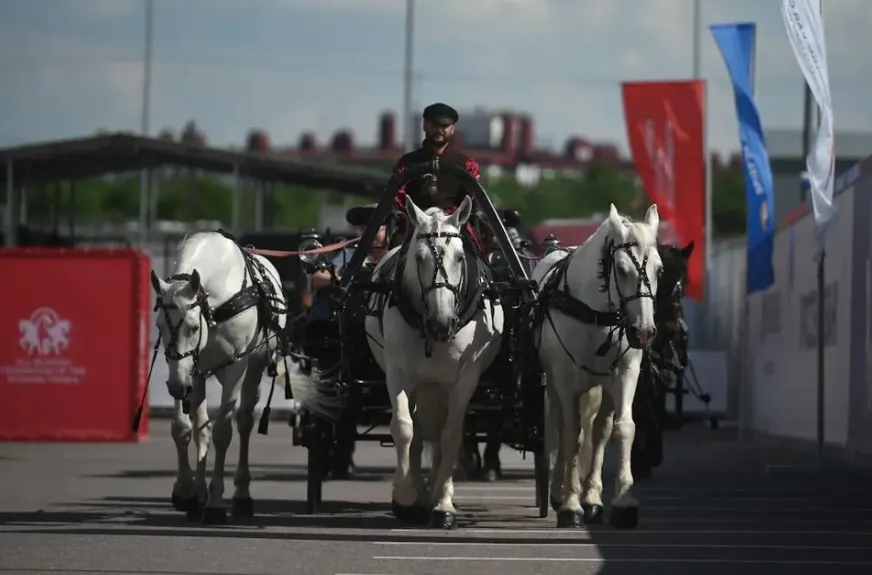 Мария Захарова прокатилась на русской тройке XIX века на ПМЭФ-2026
