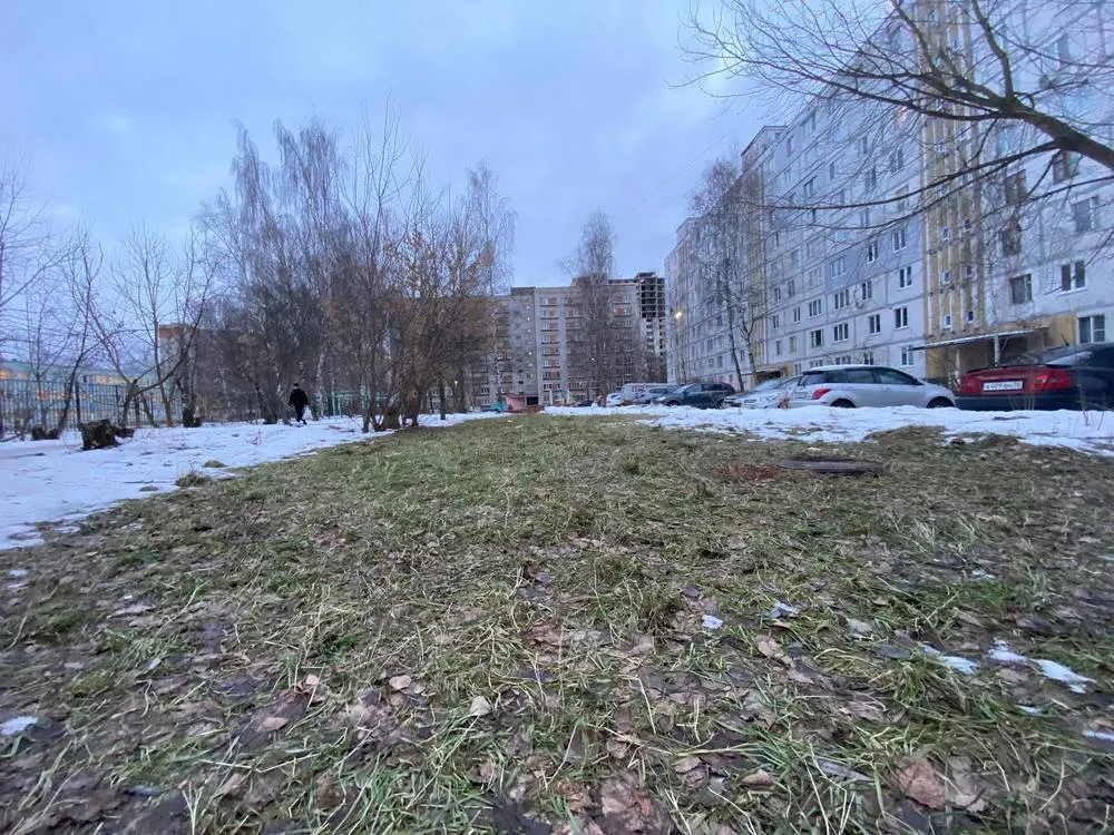 Ярославскую погоду определят февральские перевертыши