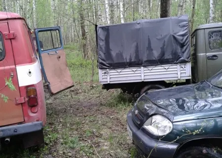 Под Ярославлем и Рыбинском горит лес