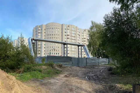 В застройке березовой рощи обнаружился след экс-мэра Ярославля Владимира Волкова