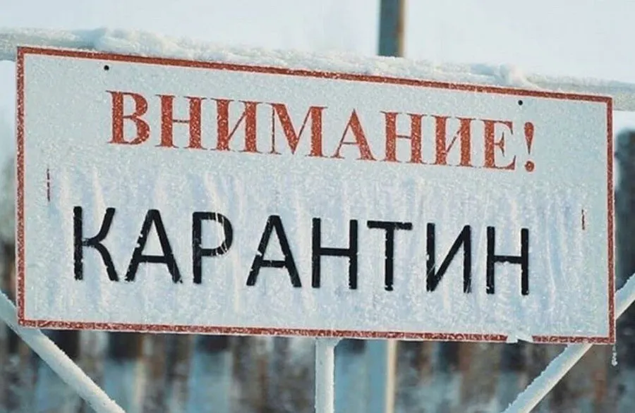 В Ярославской области ввели карантин по лейкозу крупного рогатого скота
