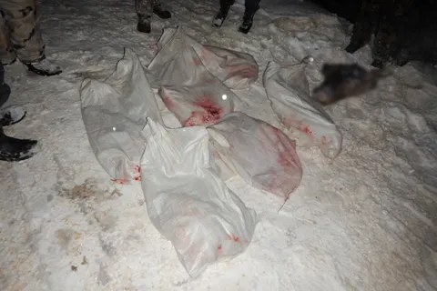 В Ярославской области поймали двух браконьеров
