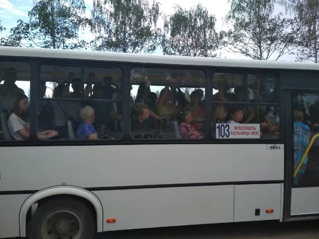 Жители Туношны собирают подписи против закрытия автобусного маршрута 