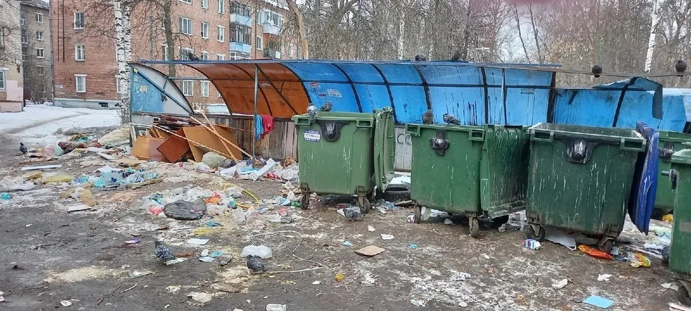 Ярославский депутат: «Контейнерные площадки должны содержать управляющие компании»