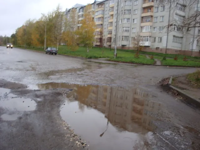 Ярославская городская прокуратура проверяет «Слонов» на честность
