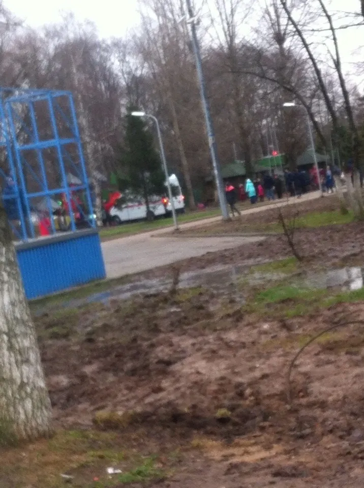 В Ярославле в парке на новой детской площадке пострадал ребенок