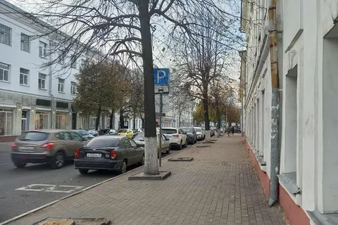 В Ярославле вместо погибших лип сажают клены