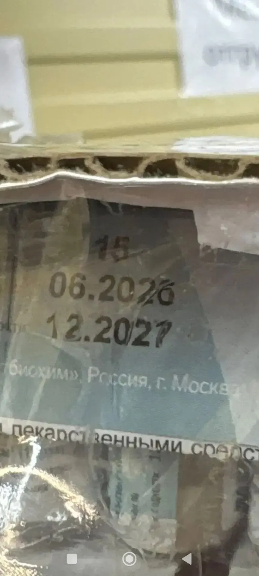 Отозвана партия вакцины, из которой прививали погибших в Ярославле собак