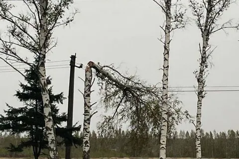 Ярославские энергетики оперативно устраняют последствия непогоды