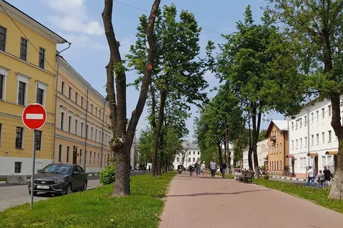 Эксперты назвали варварством обрезку деревьев в Ярославле