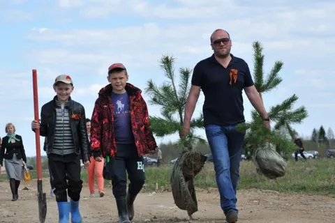 На родине Ушакова в Рыбинском районе посажено четыреста молодых сосен