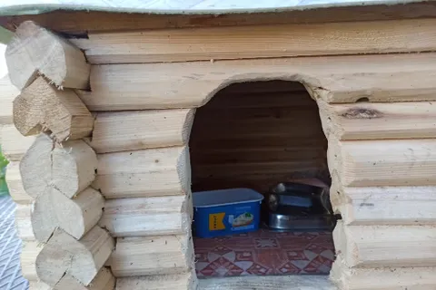В Тутаеве появился уличный «кошкин дом»