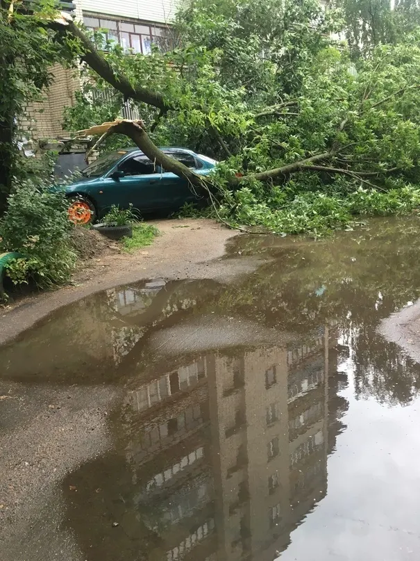 Деревья падали на машины: ярославцы делятся фото грозы и урагана
