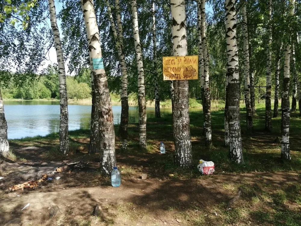 В Ярославле бизнесмен претендовал на застройку леса у озера Техас