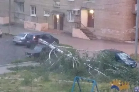 В Ярославле ураганный ветер повалил несколько деревьев: фото