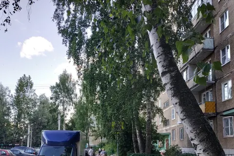 В Ярославле появился дорожный знак-невидимка