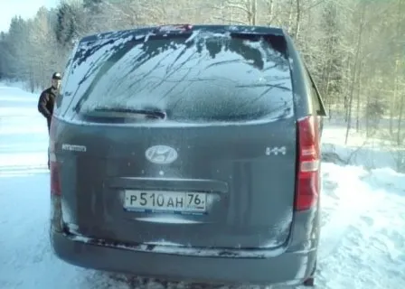 В Ярославской области иномарка «улетела» в кювет - пострадали два человека