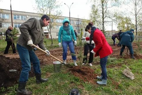 В Ярославской области стартовала акция «День посадки леса» (фото)
