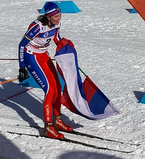 Спортсмены из Ярославля взяли золото на чемпионате мира