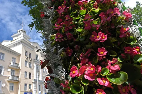 Проспект Ленина в Ярославле украсят двадцать цветочных арок