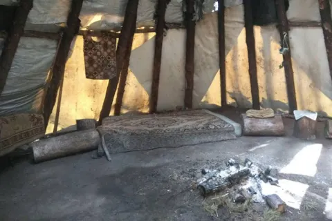 В Ярославле в сосновом бору обнаружили вигвам – подозревают сектантов