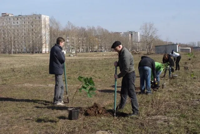 В Ярославле сажали каштаны и лиственницы