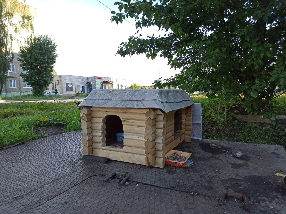 В Тутаеве появился уличный «кошкин дом»