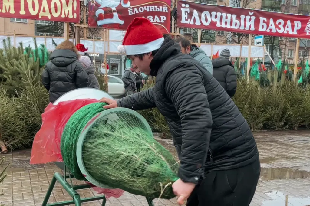 В Ярославле заработали ёлочные базары