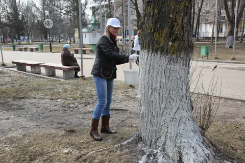 Почти пятьдесят тысяч ярославцев вышли на уборку города