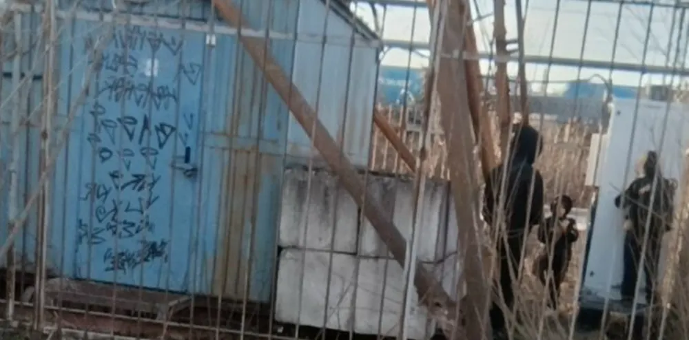 В Вологде подростки пытались забраться на ЛЭП