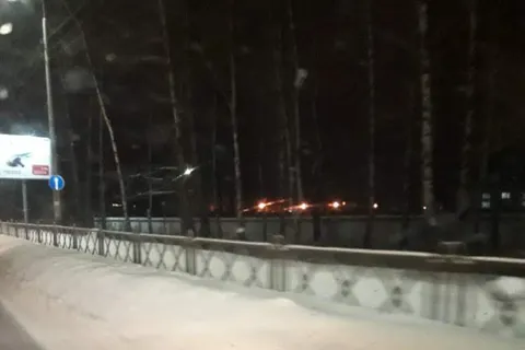 «Принято в работу»: ярославцы возмущены отписками «Горзеленхозстроя»