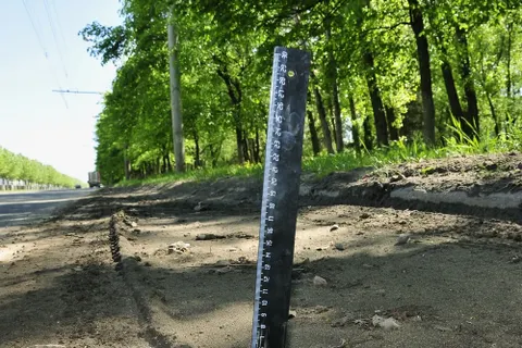 В Ярославле вдоль бордюров можно сажать картошку. Земли хватит