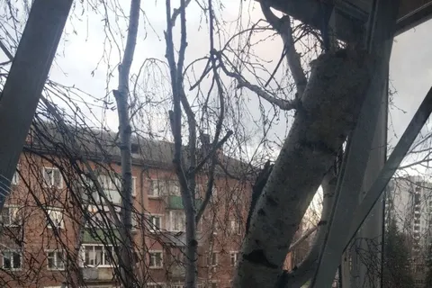 В Ярославле из-за ураганного ветра упала стена подъезда