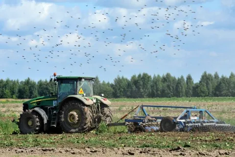 Урожай в Ярославской области ожидается на уровне прошлого года