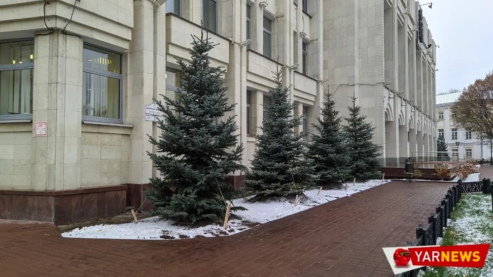 Ярославское правительство назвало дату начала социальных выплат