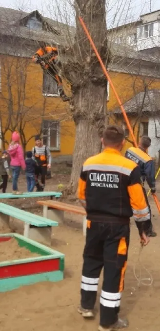 Необычная спецоперация в Ярославле: спасатели сняли мяч с шестиметровой высоты